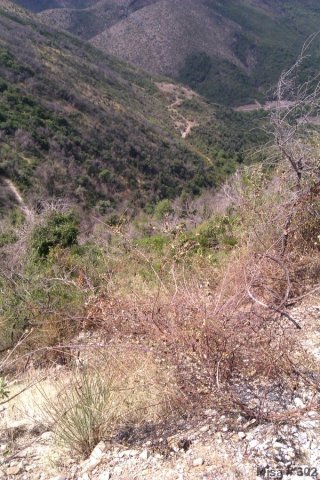 Albánií křížem krážem